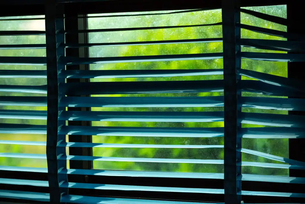 common blind problems
